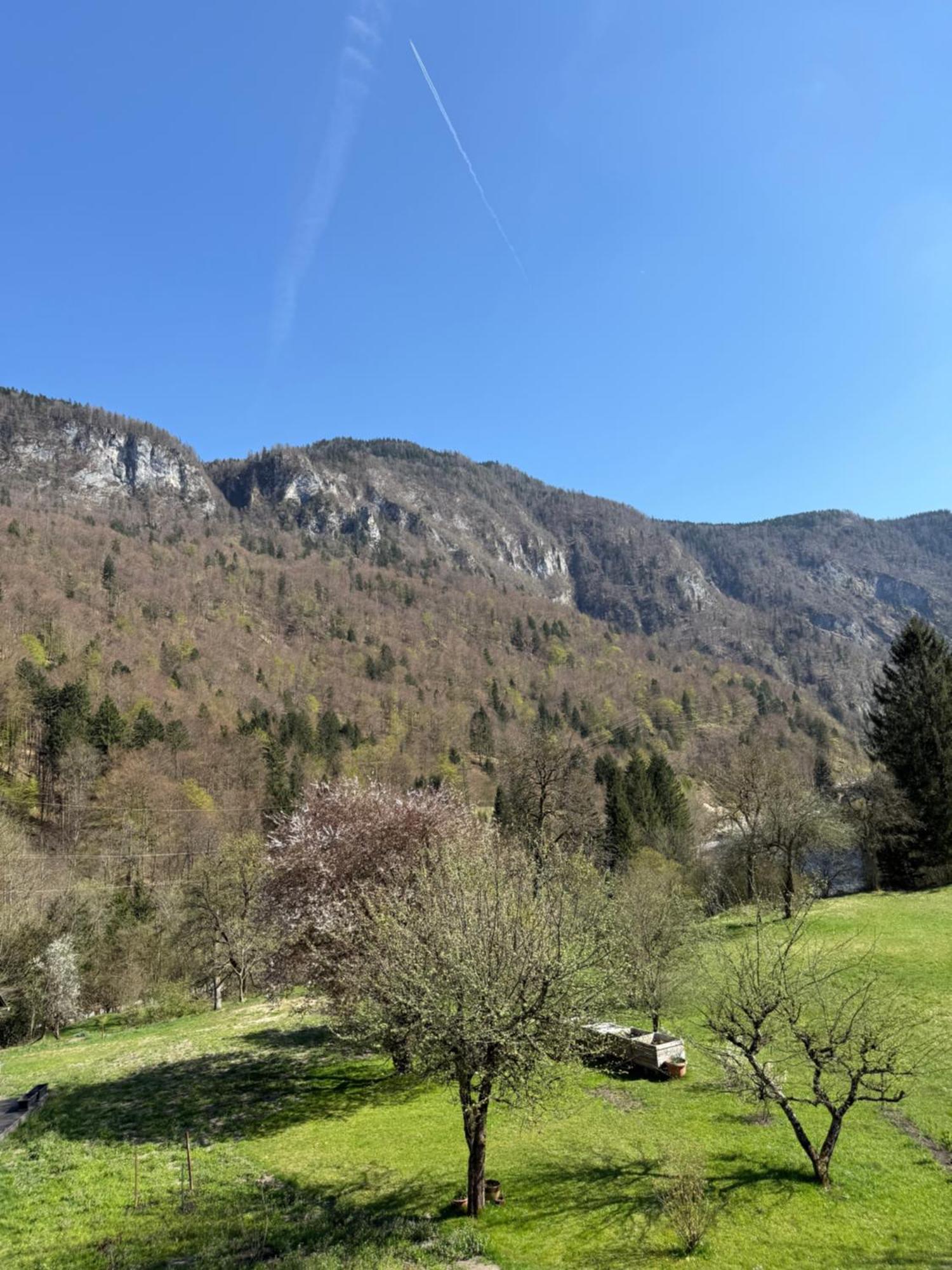 4 Elements Resort Bled Bohinjska Bela Luaran gambar